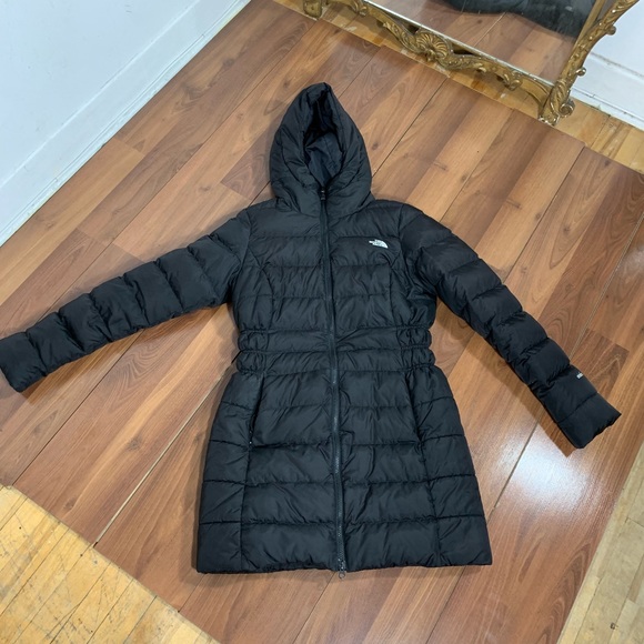 The North Face Jackets & Blazers - North face 550 down feathers winter coat